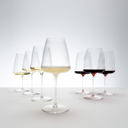 Riedel Stemless Wings Pinot Noir/Nebbiolo Wine Glass (Set of 2)