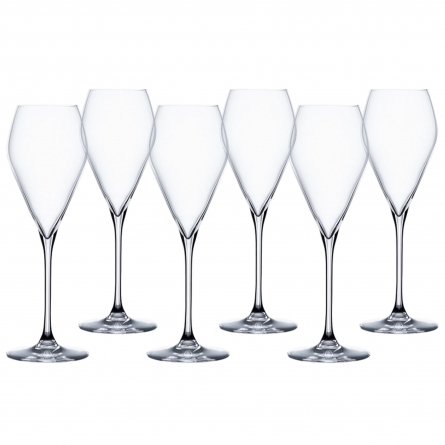 Party Champagneglas 23cl, 6-pack