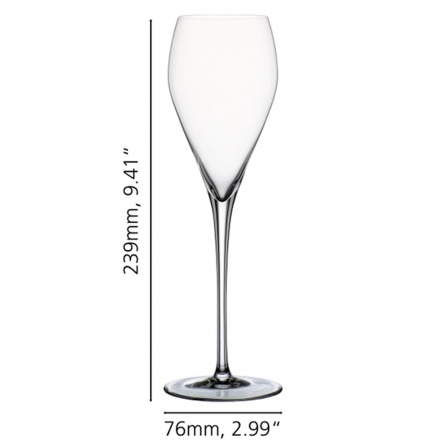 Party Champagneglas 25cl, 6-pack